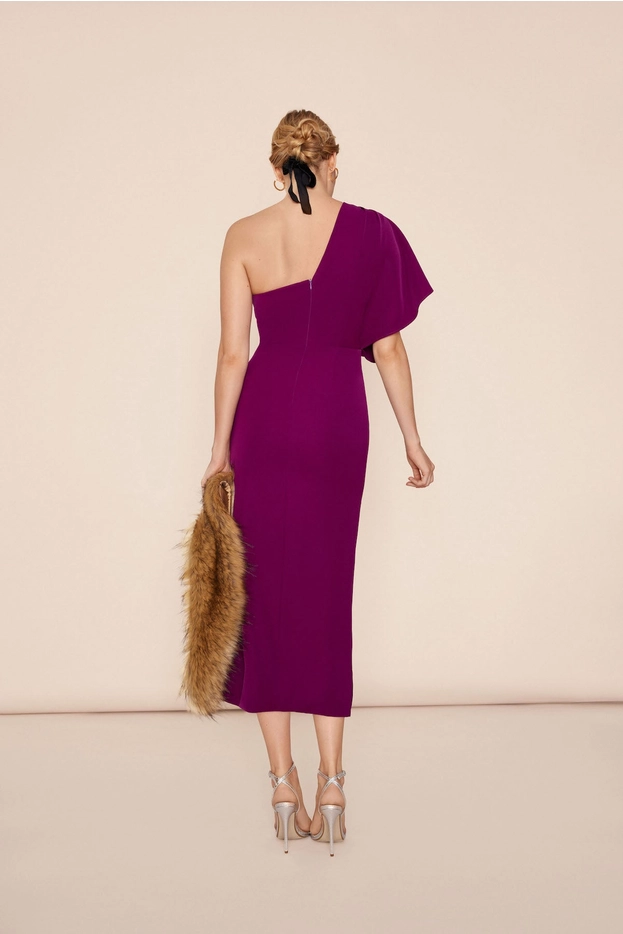 Bruna Marcela Plum Dress