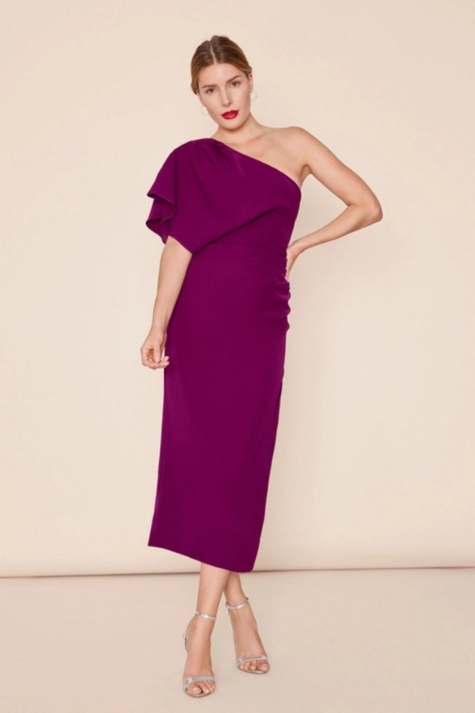 Bruna Marcela Plum Dress